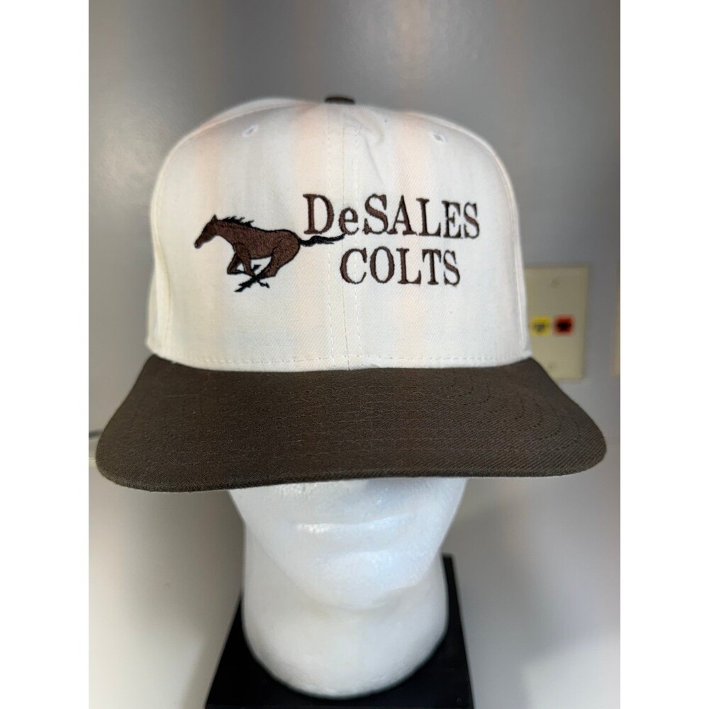 Vintage Desales High School Louisville Kentucky Snapback Hat Cap USA New Era